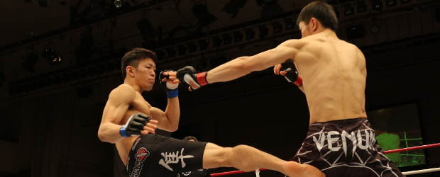 WE LOVE MMA in Hannover 2018